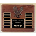 American Eagle Series Plaque w/ Eagle Medallion (10 1/2"x13")